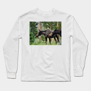 Moose on a Stroll in the Spring Long Sleeve T-Shirt